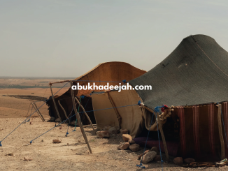 tents desert